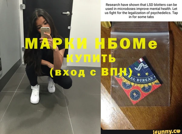 стафф Россошь