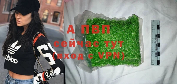 стафф Россошь