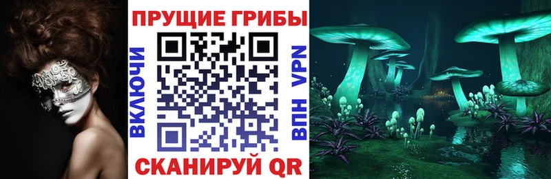 Галлюциногенные грибы Psilocybine cubensis  blacksprut ТОР  Всеволожск  купить закладку 