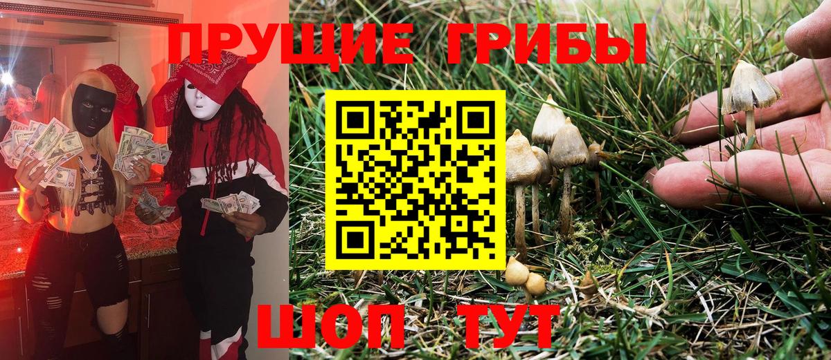Всеволожск  купить наркоту  Вход с VPN  Галлюциногенные грибы MAGIC MUSHROOMS  Псилоцибиновые грибы MAGIC MUSHROOMS 